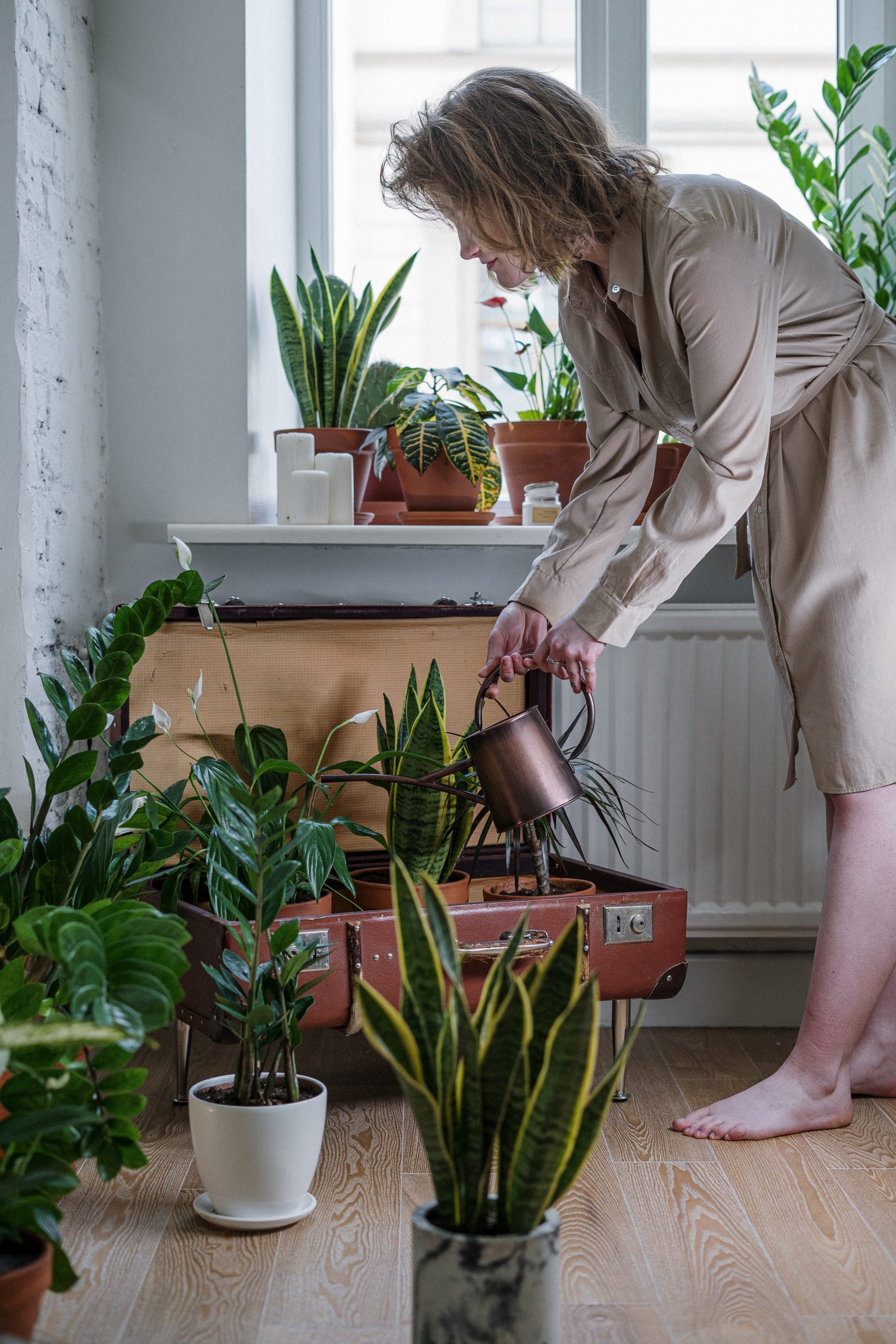 La convivencia sostenible y la eficiencia energética del modelo de Co-Living